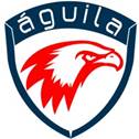 Aguila IT Consulting