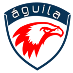 Aguila Consulting